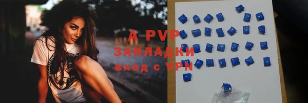 гашик Белая Холуница