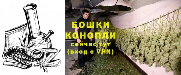 шишки Ладушкин